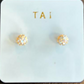 Tai Gold CZ Mini Ball Stud Earrings