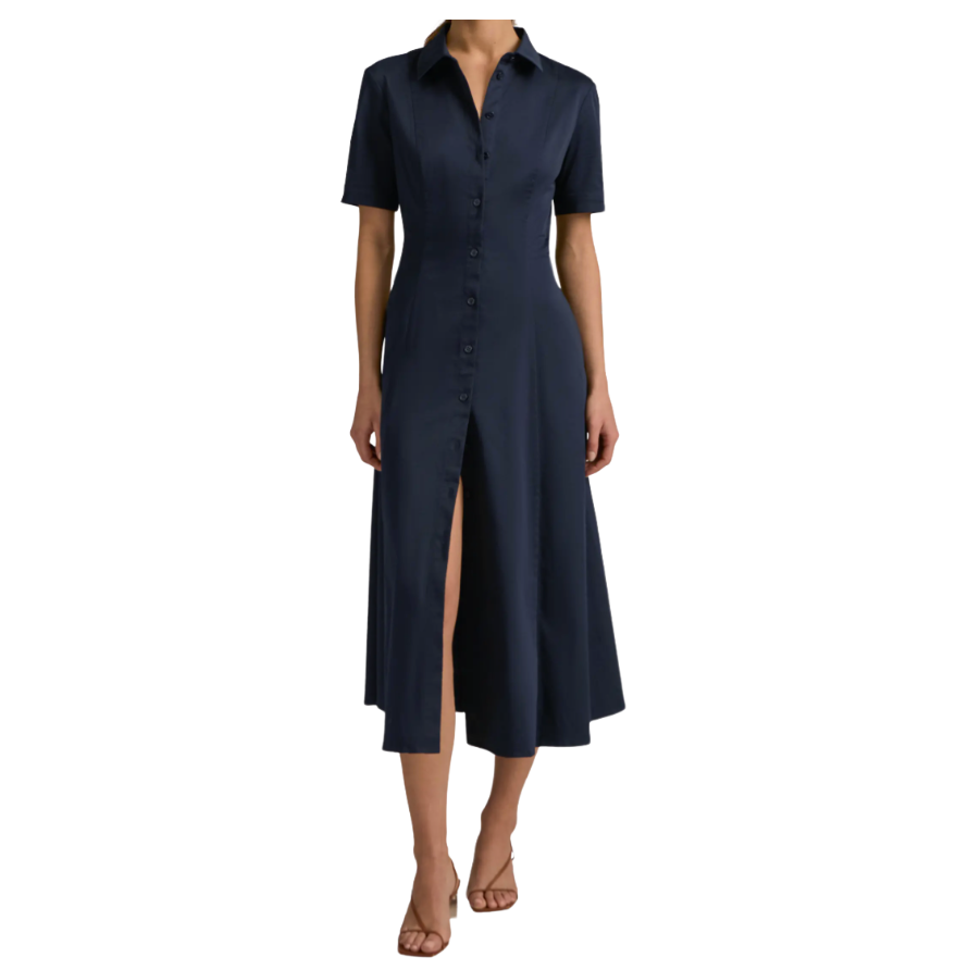 Favorite Daughter Demure Dress